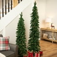 thumbnail image 3 of Northlight Pre-Lit Pencil Alpine Artificial Christmas Tree - 5' - Clear Lights, 3 of 8