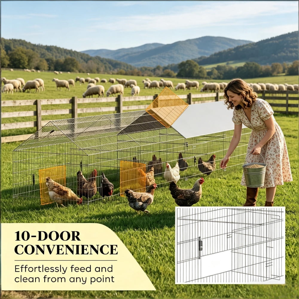 Chicken Coop