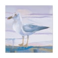 thumbnail image 1 of Sea's Glorious Gull - Canvas, 1 of 10