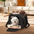 thumbnail image 4 of Petsfit Cat Carrier , Lightweight Collapsible Cat Carrier for Travel, 4-Sided Breathable Mesh, Locking Zipper and Washable Fleece Pad Black, 4 of 9