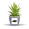thumbnail image 1 of Black Turtle Pot de Fleurs Ananas Artificiel Mini Décor, 1 of 3
