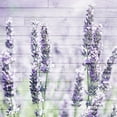 thumbnail image 2 of Kimberly, Allen 15x15 White Modern Wood Framed Museum Art Print Titled - Lavender Fields 1, 2 of 4