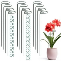 Hengguang Plant Support Stakes, 12pcs 40cm Single Stem Plant Supports, Plant Cage Support Ring with 24Pieces Plant Clips for Climbing Plants Garden Stakes for Amaryllis Orchid Lily Rose Tomatoes