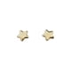 thumbnail image 1 of Arete Punto Metálico Broquel Estrella Lisa Oro 10k, 1 of 5