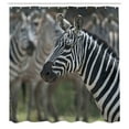 thumbnail image 3 of Ambesonne African Shower Curtain, Zebra in Serengati Park, 69"Wx84"L, Reseda Green White Black, 3 of 5