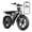 R002-S-15AH-Black, variant on TST Electric Bike for Adults, 750W Peak 1500W Motor, 20"x4" Fat Tire, E Mountain Bike, 48V/15AH UL2849