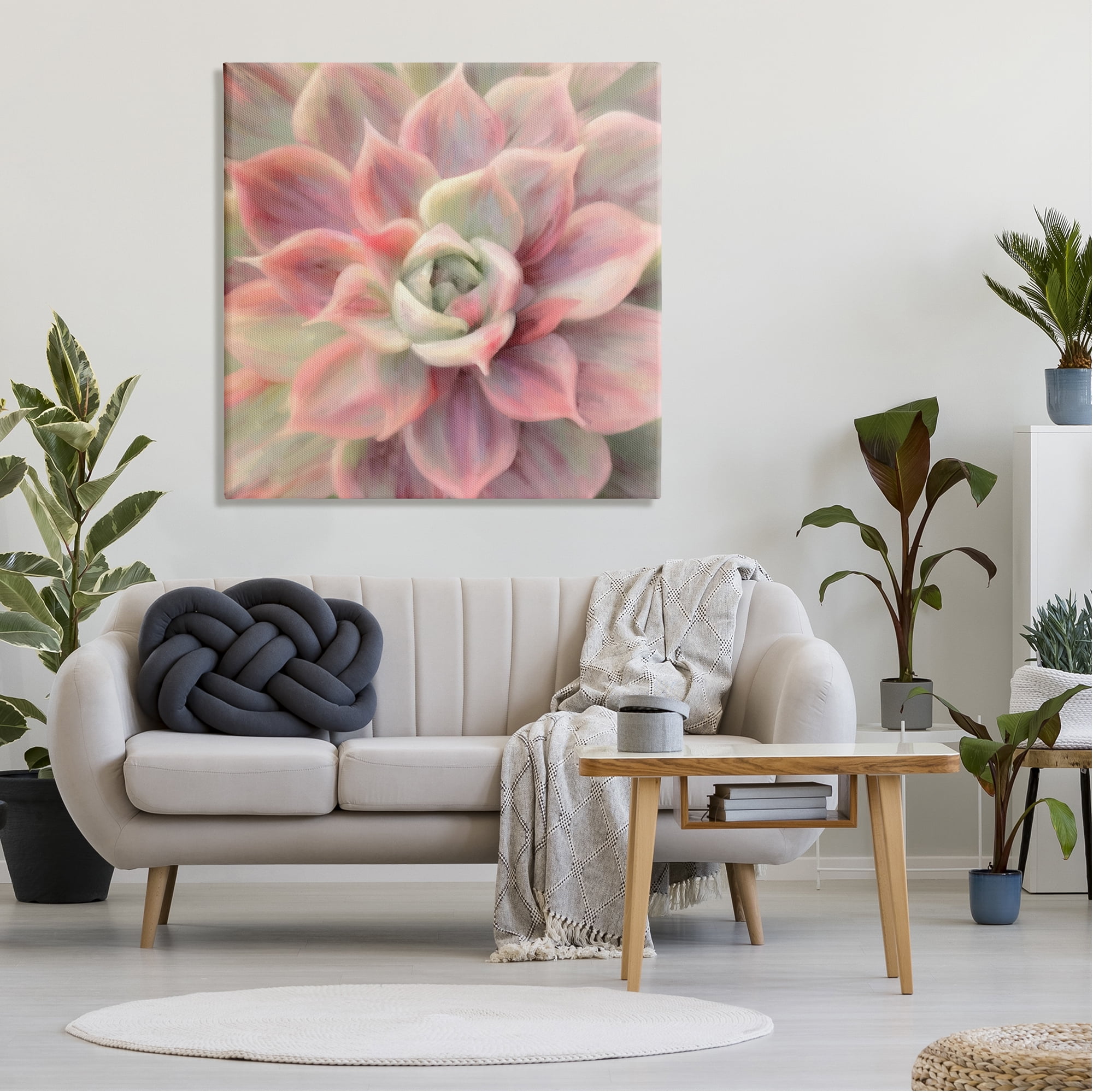 Stupell Industries Pink Symmetrical Succulent Botanical & Floral Painting Gallery Wrapped Canvas Print Wall Art, 36 x 36