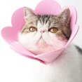 thumbnail image 1 of Collier pour Animaux Collier Anti-Lichage Collier Protecteur Collier pour Chat Elizabeth (Rose, m), 1 of 5