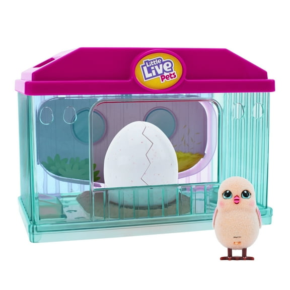 Little Live Pets, Surprise Chick Blue Hatching House with Chick, Styles and Colors May Vary, Ages 5 