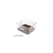 SpaceSaver Square Containers, 4qt, 8 4/5w x 8 3/4d x 4 3/4h, Clear