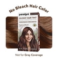 thumbnail image 4 of Paradyes No Bleach Espresso Brown Glossy Hair Tint, 4 of 9