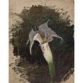 thumbnail image 2 of Jan Ciągliński 20x24 Black Ornate Framed Double Matted Museum Art Print Titled: Flower, 2 of 5