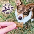 thumbnail image 5 of Wellness Old Mother Hubbard Mother's Solutions Minty Fresh Breath Natural Biscuits Dog Treats, 20 oz bag, 5 of 8