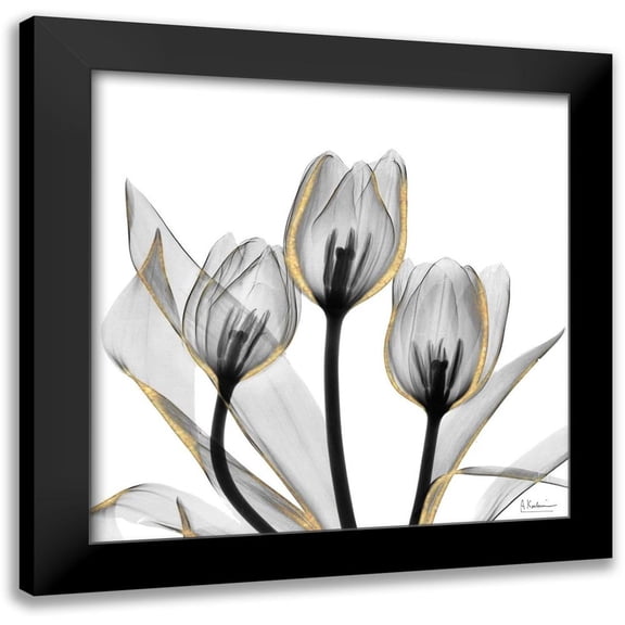 Koetsier, Albert 12x12 Black Modern Framed Museum Art Print Titled - Gold Embellished Tulips 5