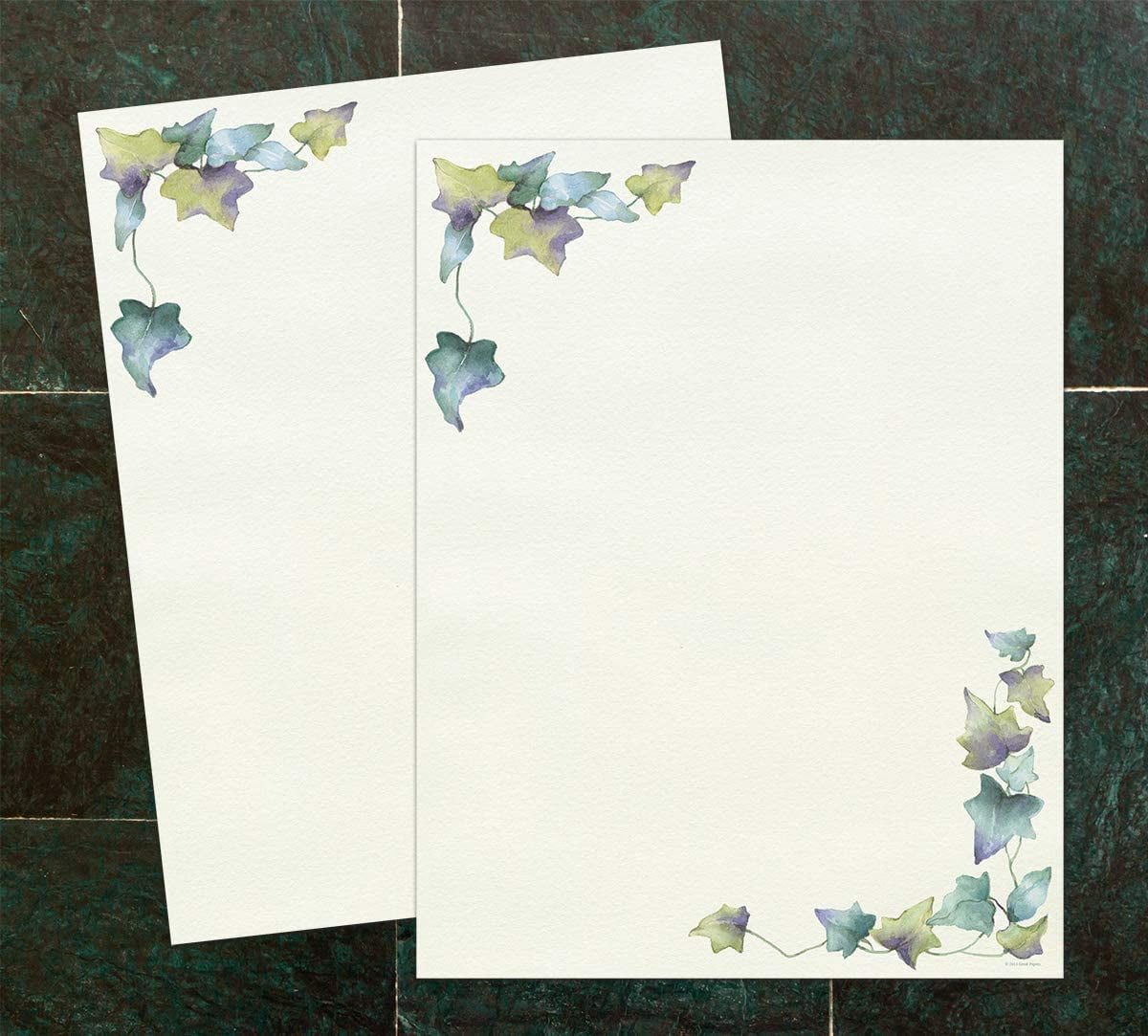 Charizard Printed Border Oversleeves – Usagi Draws
