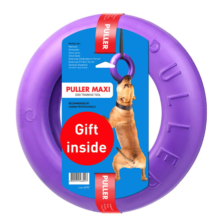 Outdoor Dog Toys For Large Dogs