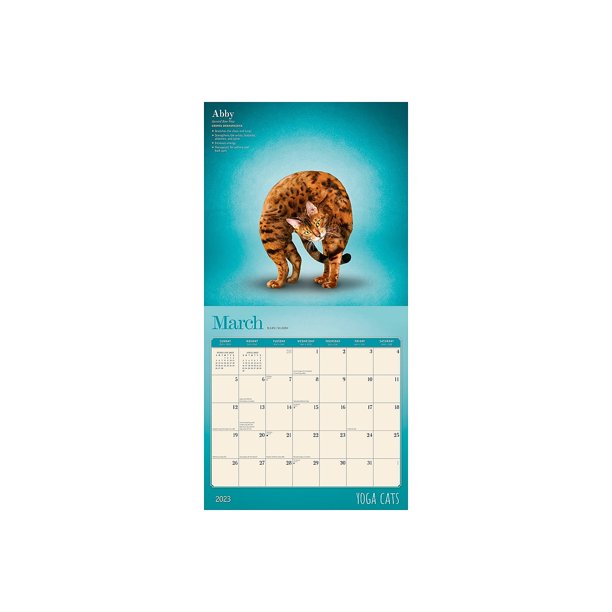 2023-browntrout-yoga-cats-official-12-x-12-monthly-wall-calendar-9781975450199-walmart-com