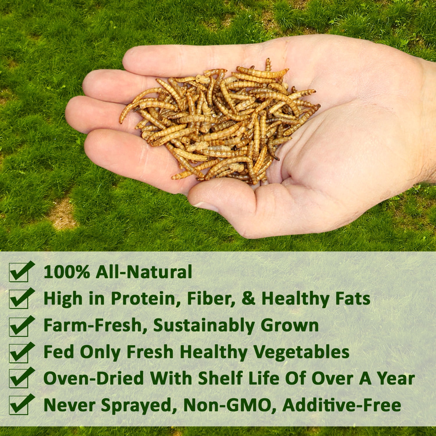 Worm Value Pack  (11 lb. Dried Mealworms + 5 lb. Grub-Worms)