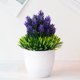 thumbnail image 5 of 8 piezas de plantas de simulación en maceta, plantas verdes, bonsái, plantas decorativas para el hogar, bonsái de escritorio, flores de plástico, bonsái, 5 of 5