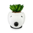 thumbnail image 3 of Peanuts Snoopy Face Ceramic Mini Planter with Artificial Succulent | 3.5"L x 5" H x 5" W, 3 of 7