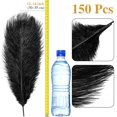 thumbnail image 2 of Plumas de avestruz Berlune, 150 unidades, naturales, 30 — 35 cm, color negro, 2 of 6