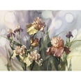 thumbnail image 3 of Hadfield, Clif 18x15 Black Modern Framed Museum Art Print Titled - Hadfield Irises V, 3 of 5