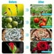 thumbnail image 3 of Lámpara De Cultivo De Altura Ajustable, Temporizador 3H 9H 12H 10 Niveles Regulables Luz De Cultivo De Plantas De Espectro Completo Fácil De Instalar PP De aleación De Aluminio, 3 of 7