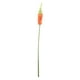 Northlight 37" Tige Florale Décorative en Queue de Renard Artificielle Orange et Rouge – image 1 sur 3