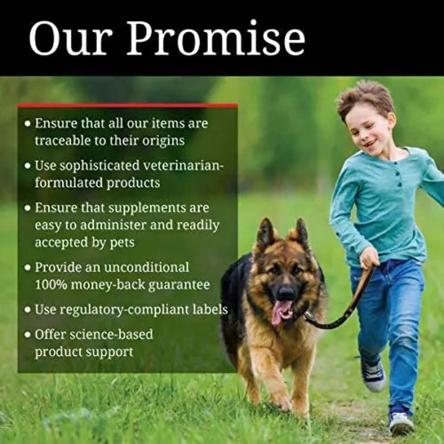 Nutri-Vet Bitter Bandage for Dogs and Cats - 1 Count