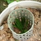 thumbnail image 4 of Luzes Del Tronco Del Árbol Cubierta Protectora Resistente Al Clima Del Tronco Del Árbol, Cubierta Protectora de Plástico de Plantas, Puede Empalmarse Y Combinarse con Protección de Corteza Hortícola,, 4 of 5