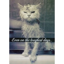 Designer Greetings Cat with Wet Fur Friendship Card