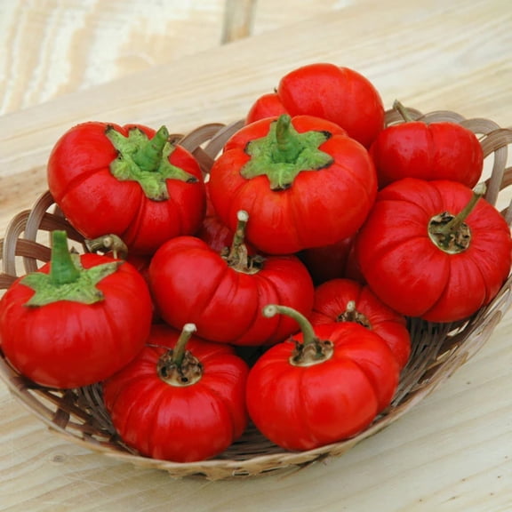 Pepper Pumpkin Pepper Seed