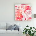 thumbnail image 3 of Trademark Fine Art 'Fruit Punch I' Canvas Art by Chariklia Zarris, 3 of 4