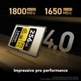 thumbnail image 2 of Tarjeta de memoria Lexar Gold Series Professional 256GB CFexpress 4.0, 2 of 6