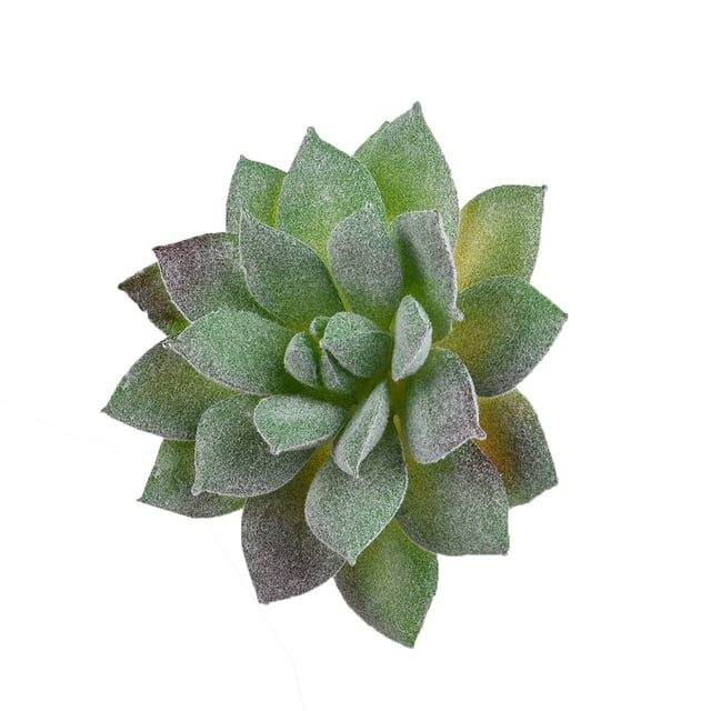 Artifical Plastic Succulent Plant Cactus Echeveria Flower Home Office Decor Gift