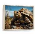 thumbnail image 2 of Designart "Symbolic Expressions" Animals Turtle Floater Framed Wall Decor, 2 of 5