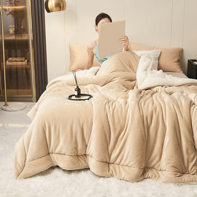 Milk Velvet Lambswool Double Layer Blanket Queen Size,Thick Warm Blanket for Winter,No Shed No Pilling,Multifunctional Leisure Double Bed Covering Blanket for Bed,Couch Beige
