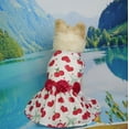 thumbnail image 2 of TIELUTT Pet Dog Clothes Valentine's Day Summer Cute Pet Clothes for Large Dogs Pet Clothes for Small Dogs Pet Clothes for Large Dogs Female Pet Clothes Hangers for Small Dogs Pet Clothes for Small Do, 2 of 8