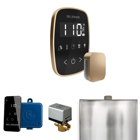 Mr Steam ButlerFlex Steam Shower Ctrl Pkg w/TempoFlex Control and Steamhead in Black Brushed Bronze