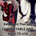 thumbnail image 3 of LED Red Light Therapy Device, Near Infrared Light Therapy Device for Horse Leg Muscle Pull Wound, Portable Wireless LED Light Therapy for Horse Leg Pain Recovery (2Pcs), 3 of 4