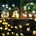 thumbnail image 2 of Beach String Lights, 20LED 9.8ft Light Seashell Decorative Lights Battery&USB Plug in for Bedroom Party Indoor Wedding - 9.8ft 20 lights battery, 2 of 8