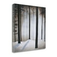 thumbnail image 2 of Tangletown Fine Art Winter Solace By Patrick St.Germain,  Gallery Wrap Canvas 20 x 20, 2 of 2