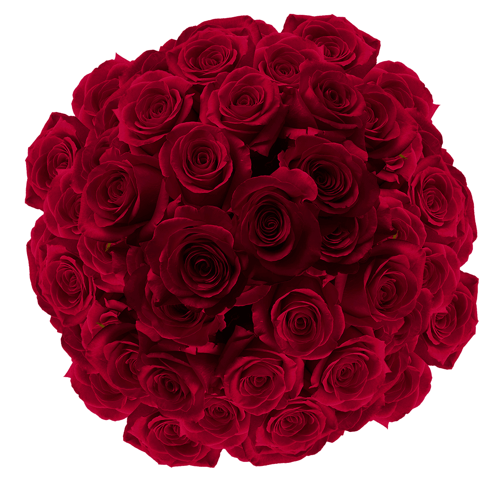 150 Stems of Burgundy Roses- Fresh Flower Delivery - Walmart.com