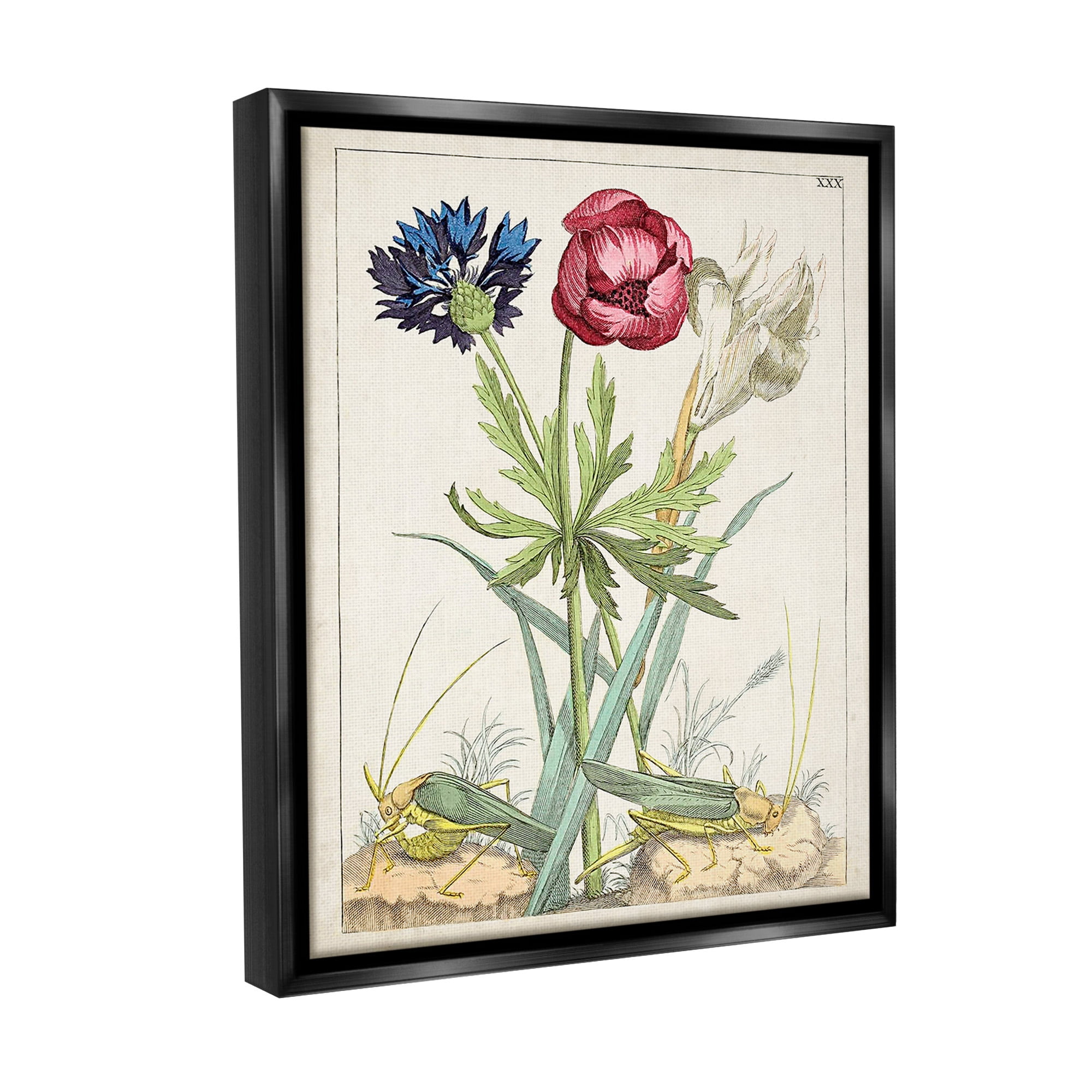 Stupell Industries Blooming Bulbs & Grasshoppers Botanical & Floral Painting Black Floater Framed Canvas Art Print Wall Art, 17 x 21