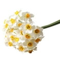 thumbnail image 2 of White Small Fresh Narcissus Bouquet Artificial Flowers Simulation Flowers Living Room Decoration Table Flowers Silk Flowers Plastic Flowers Indoor Decoration White, White, Plastic, 2 of 3