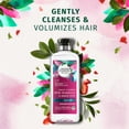 thumbnail image 2 of Herbal Essences Bio:Renew Daily Cleanse White Strawberry & Sweet Mint Shampoo 13.5 fl. oz. Bottle, 2 of 7