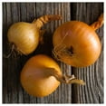 thumbnail image 3 of Everwilde Farms - 1/4 lb Texas Early Grano Onion Seeds - Gold Vault Bulk Seed Packet, 3 of 3
