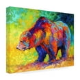 thumbnail image 4 of Marion Rose 'New Grizz' Canvas Art, 4 of 4