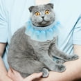 thumbnail image 4 of Shisuyan Collier pour Chat Bleu Polyester 2 Pcs 9.8x11.8 Po, 4 of 8