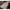 Beige, variant on VBVC Four Seasons Universal Single Piece Cushion Buckwheat Hull Back Seat Cushion Car Seat Cushion